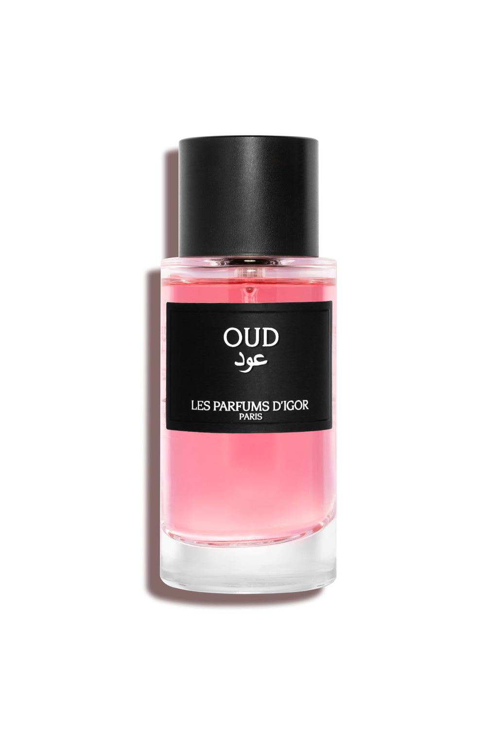 OUD عود